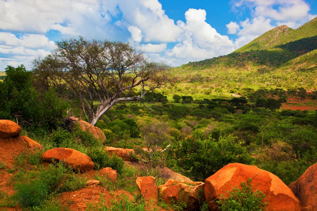 SANParks