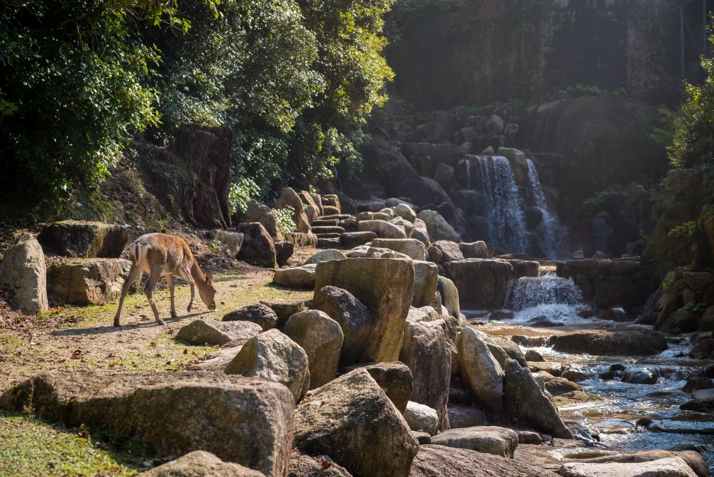 Conservation and Environmental Management