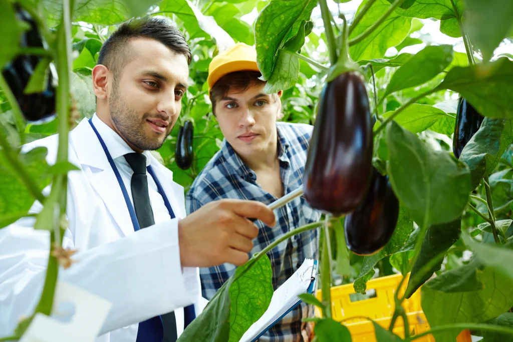 Graduate Trainee: Enterprise Development 2026